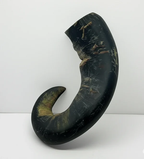 buy buffalo horn dog chew from Manufacturer Razvi Exports