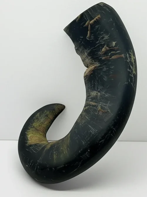 Custom Buffalo Horn Dog Chew | Natural Pet Chews Manufacturer & Exporter – Razvi Exports