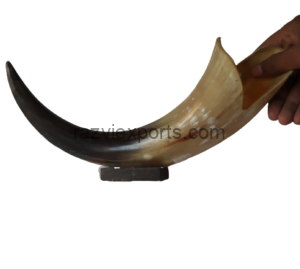 buffalo cow horn decorative horn with wooden base manufacturer