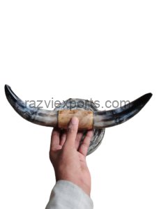 buffalo horn skull wall decor horn