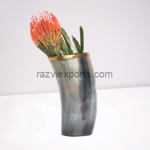 buffalo, cow horn flower vases for decor manufacturer