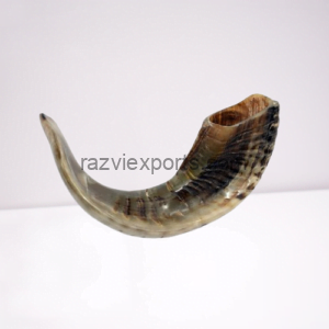 ram-horn-shofar-shofar-manufacturer-Razvi Exports